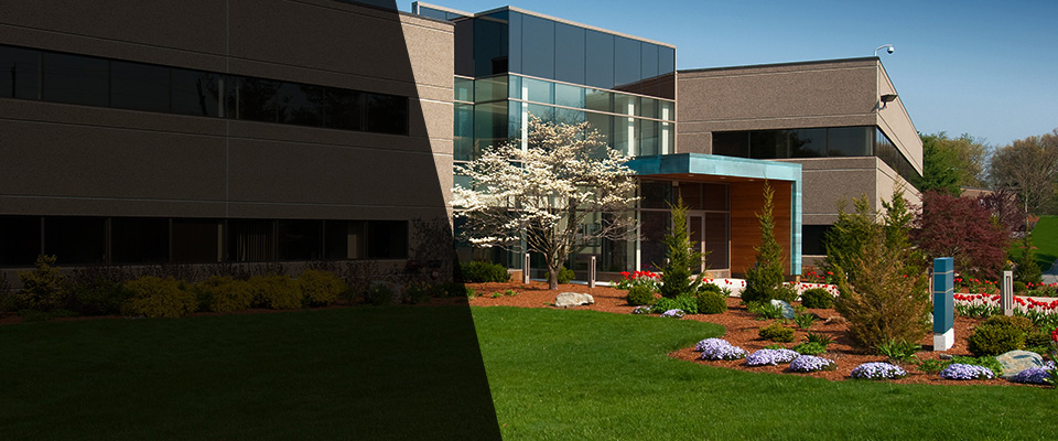 Buckingham Landscapers