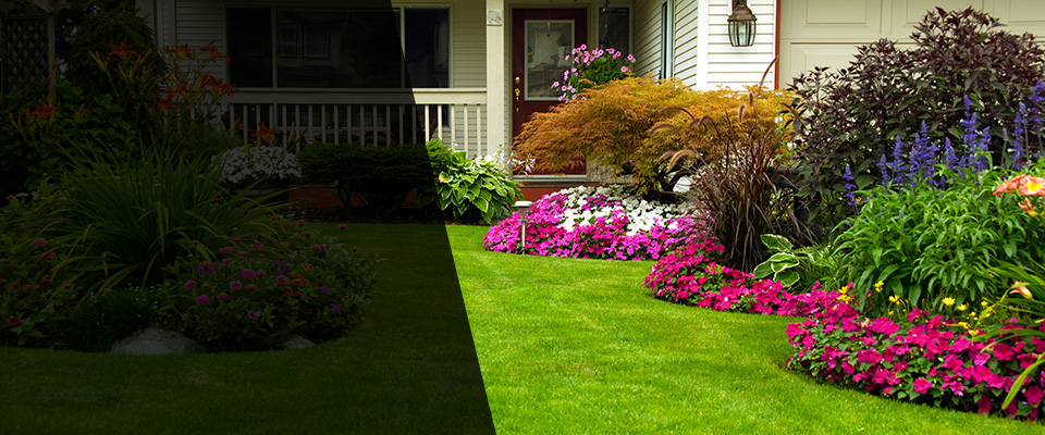 Buckingham Landscapers