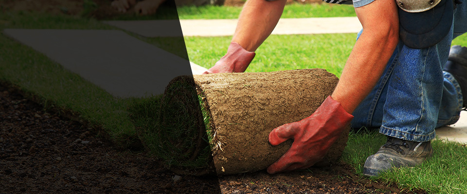 Buckingham Landscapers